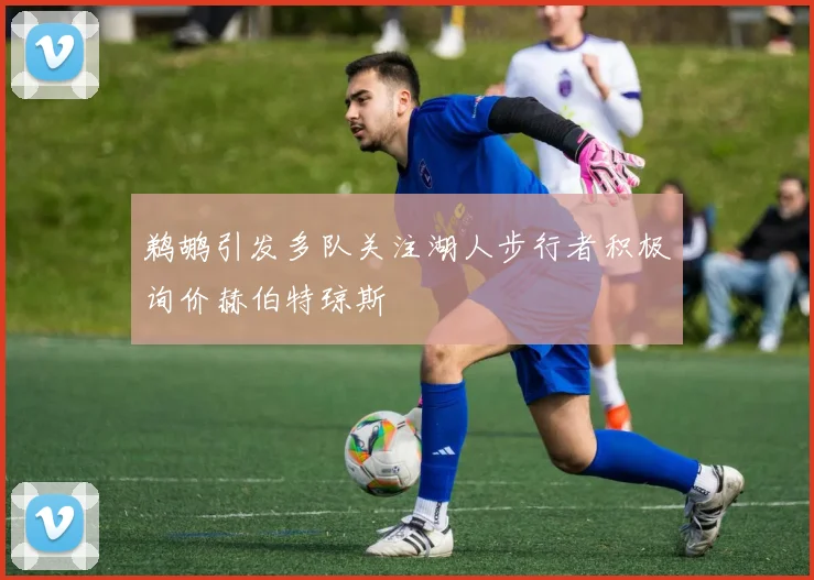 鹈鹕引发多队关注湖人步行者积极询价赫伯特琼斯