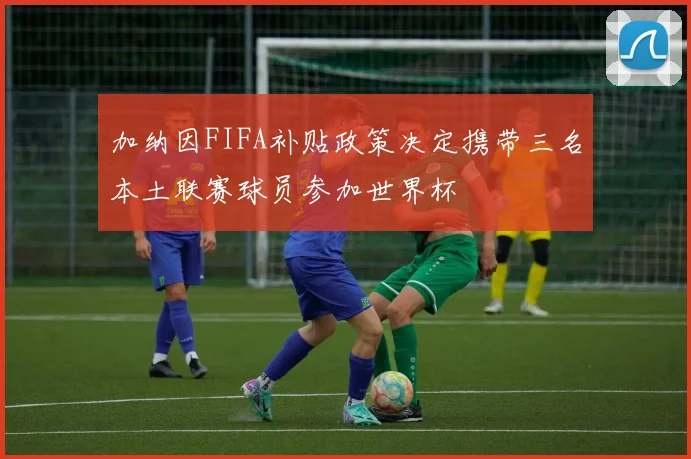 加纳因FIFA补贴政策决定携带三名本土联赛球员参加世界杯